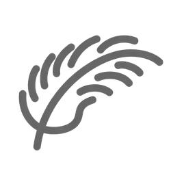 Feather - nature - Popular Download PNG