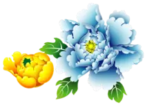 Peony - blue - plant - Transparent Layer PNG