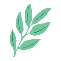 Laurel Leaf - green - PNG