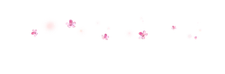Pink Flowers - bloom - nature - Transparent Background PNG