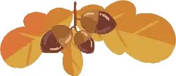 Acorns and Leaves - fruit - Free PNG