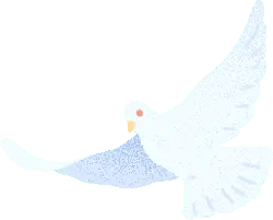 Dove - freedom - Curated PNG