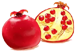 Pomegranate - Transparent Background PNG - fruit