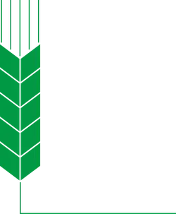 Green Arrow Logo - simple - Lossless PNG