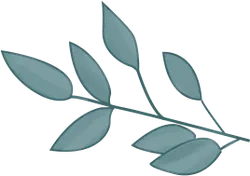 Leaf - branch - Designer's Pick PNG