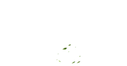 Green Leaves - leaves - Recommended PNG