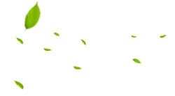 Leaves Falling - nature - Transparent Background PNG