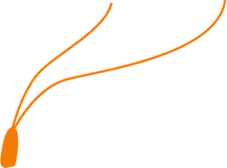 Necklace - orange - Lossless PNG