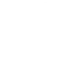 Carnation - simple - flower - PNG Images