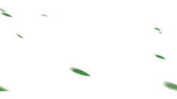 Green Light Spot - green - glowing - Transparent Layer PNG