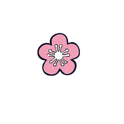 Pink Flower - PNG - cartoon