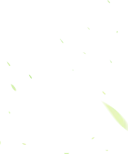 Green Light Spot Background - light spot - No Background PNG