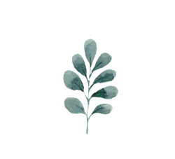 Watercolor Leaf - nature - Transparent Background PNG