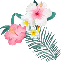 Pink and White Flowers with Green Leaves - nature - Free Download PNG