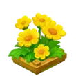 Sunflower - plant - garden - Transparent Background PNG
