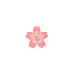 No Watermark PNG - Cherry Blossom - pink - Pic 1