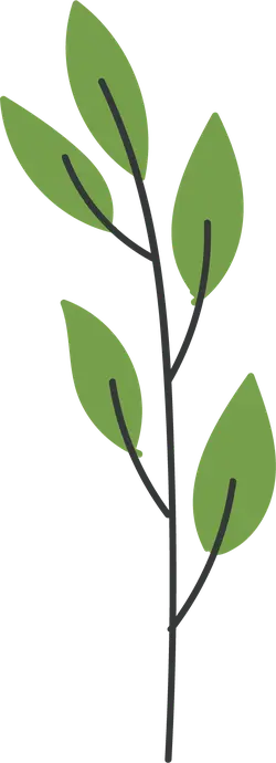Leafy Branch - nature - PNG Images