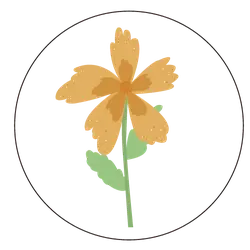 Orange Flower - beautiful - PNG Images