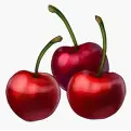 Cherry - juicy - Curated PNG