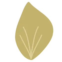 Leaf - Transparent Layer PNG - High Download Count PNG
