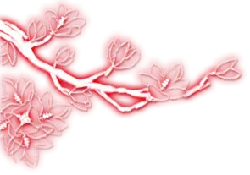 Plum Blossom Branch - line - red - High Resolution PNG