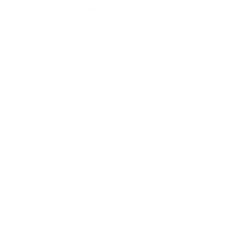 Tree - growth - tree - Free Download PNG
