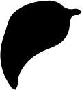 Black Cat - Designer's Pick PNG - Free Download PNG
