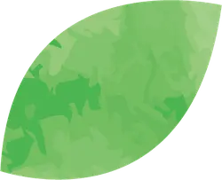 Leaf - nature - green - Free Download PNG