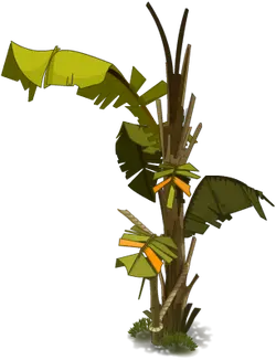 Banana Tree - Transparent Background PNG