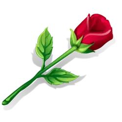 Rose - nature - High Resolution PNG
