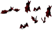 Red Butterfly - red - nature - PNG