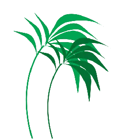 Green Plant - simple - Transparent Layer PNG