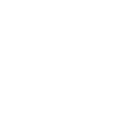 Pine Needle - simple - Designer's Pick PNG