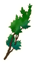 Oak Branch - nature - High Resolution PNG
