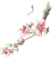 Peach Blossom Branch - Free for Commercial Use PNG