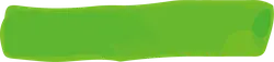 Green Rectangle - High Download Count PNG