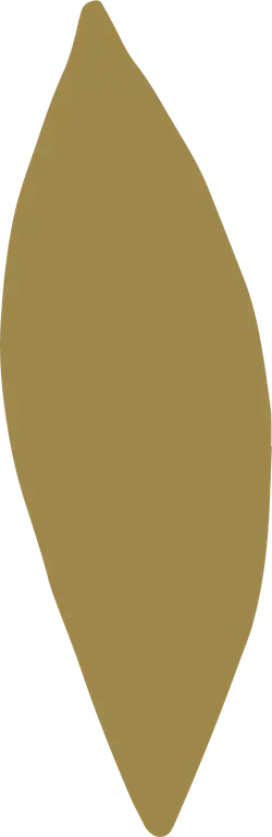 Leaf - High Download Count PNG - ecology