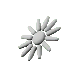 Sunflower - white - No Watermark PNG