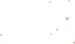 Pink Petals Falling - Free Download PNG - PNG