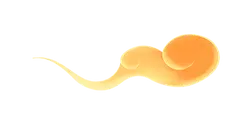 Cloud - orange - nature - Transparent Background PNG