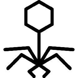 Black Owl - Transparent Layer PNG - night hunter - Pic 2