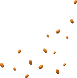 Peanut - snack - High Download Count PNG