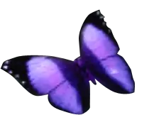 Purple Butterfly - color - High Resolution PNG