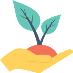 Hand Holding a Seedling - hand - Free Download PNG