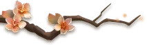 Plum Blossom - spring - plant - Free Download PNG