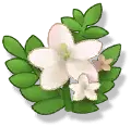 White Flowers and Leaves - Designer's Pick PNG