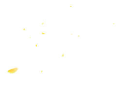 Stars in the Night Sky - natural phenomenon - Transparent Background PNG