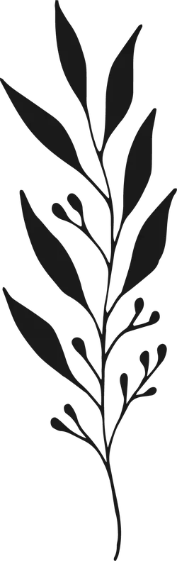 Abstract Plant Branch - line art - Free Download PNG