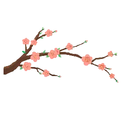 Plum Blossom Branch - spring - High Resolution PNG