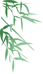 Bamboo - nature - Highly Rated PNG